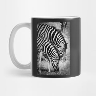 Two zebra. Mug